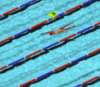 Спортивные Заплыв – Swiming race